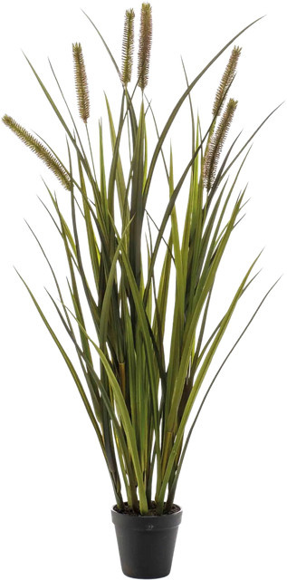 Künstliches Federborstengras Aplanta Pampas mit Einzelstielen, Höhe: 85 cm - Bild 1