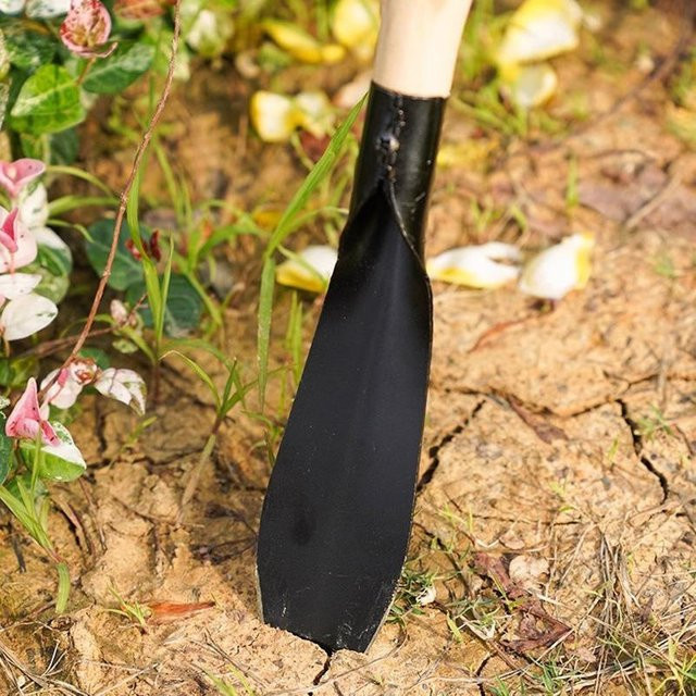 Grabschaufel aus Manganstahl für den Garten und Haushalt als flache Pflanzschaufel und Sämlingsheber - Bild 1
