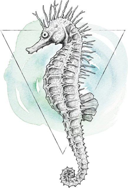 Komar Wandbild Sea Horse Watercolor in Multicolour, B: 40 cm, H: 50 cm - Bild 1