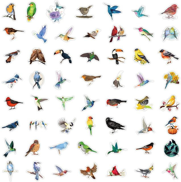55 bunte Vogel Graffiti Aufkleber zur Dekoration von Notizbüchern und Koffern in Multicolour - Bild 1