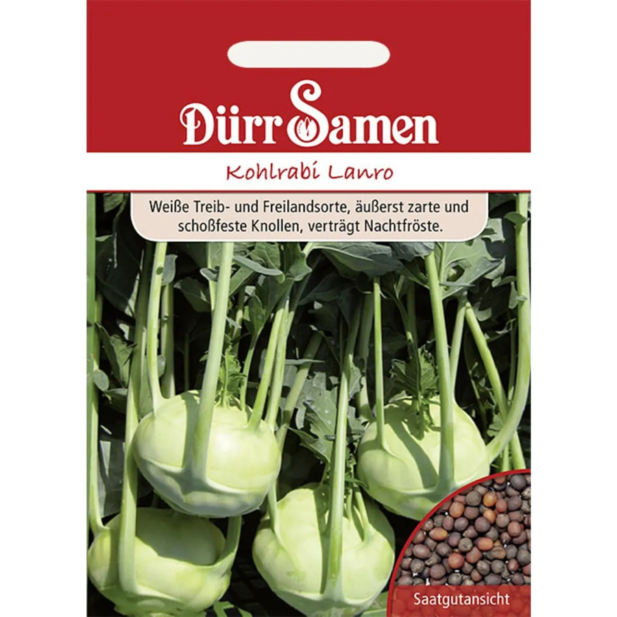 Dürr Kohlrabi Lanro Saatgut für den Freilandanbau - Bild 2