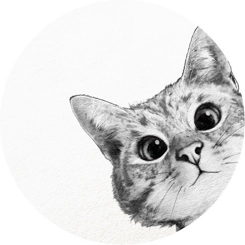 K&L Wall Art Vliestapete Runde Vliestapete Graves Kleine Katze Kätzchen mehrfarbig matt - Bild 1