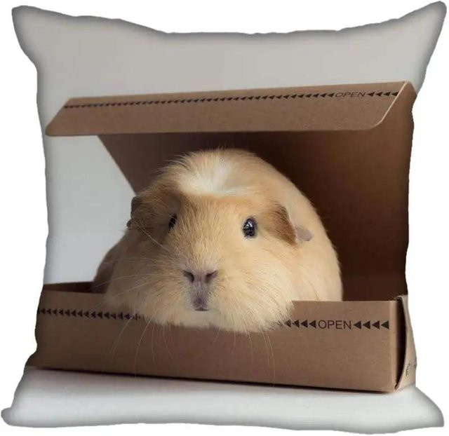 Wohnzimmer-Kissenbezug mit Meerschweinchen-Motiv von JMG Clothing, Farbe: Weiß, B/T/H: 40 x 40 x 0 cm - Bild 1