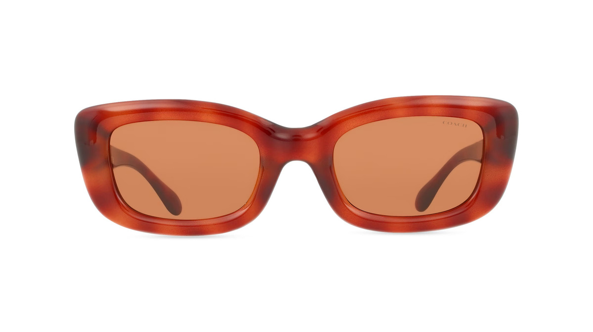 Coach HC8390U Sonnenbrille, Vollrand, Quadratisch, Kunststoff, Braun, Damen - Bild 1