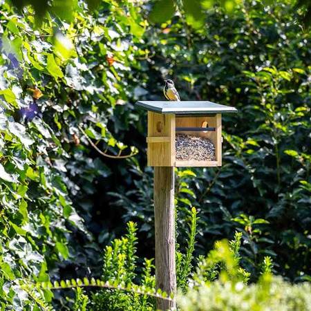 CJ Wildlife Futterhaus Tilburg für kleine Vögel mit Wandbefestigung in Grün