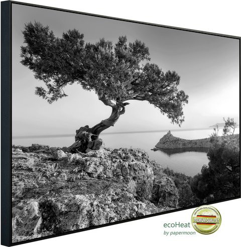 papermoon EcoHeat Infrarotheizung Landschaft Design in Schwarz und Weiss mit Matt-Effekt und App-Steuerung - Bild 1