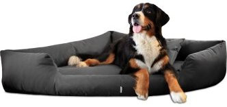 Tierlando TRIVIA orthopädisches Hundebett in Schwarz/Graphit mit abnehmbarem Bezug, B/T/H: 120 x 120 x 25 cm - Bild 1
