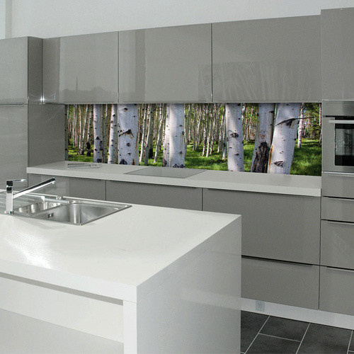 mySPOTTI Küchenrückwand Birkenwald aus Aluverbund in Weiß und Multicolour, Breite: 220,0 cm, Höhe: 60,0 cm - Bild 1