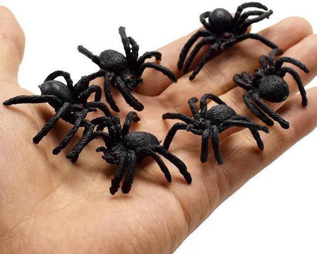 Fashnics Simulation Käfer Kakerlake Spinne Tausendfüßler Skorpion, 5-teiliges Set - Bild 1
