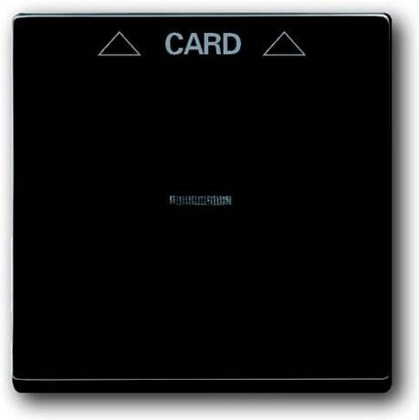 Busch-Jaeger Abdeckung Cardschalter Future Linear in Schwarz-Grau Anthrazit - Bild 1