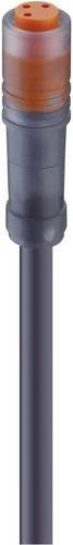 Lumberg Automation 44584-10 Sensor-Aktor-Steckverbinder M8 Buchse gerade Schwarz 4-polig 2,00 m - Bild 1