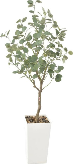 Studyset Künstlicher Eukalyptusbaum in Grün mit weißem Pflanzgefäß, Höhe: 152,4 cm - Bild 1