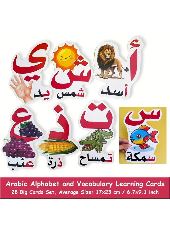 QKX Arabische Alphabet-Lernkarten aus Papier in Mehrfarbig für den Schulunterricht - Bild 3