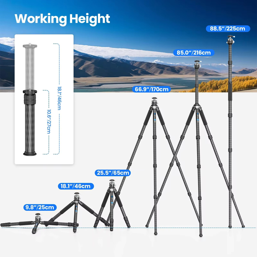 WEYLLAN GX9 Professionelles Hochleistungs-Kamerastativ mit 40 mm Beinrohr und einer maximalen Belastbarkeit von 30 kg für die Vogelbeobachtung - Bild 5