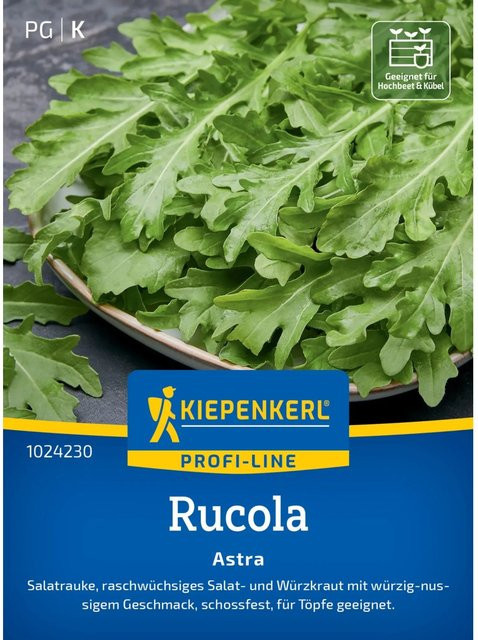 Kiepenkerl Profi-Line Salatrauke Astra Gemüsesaatgut - Bild 1