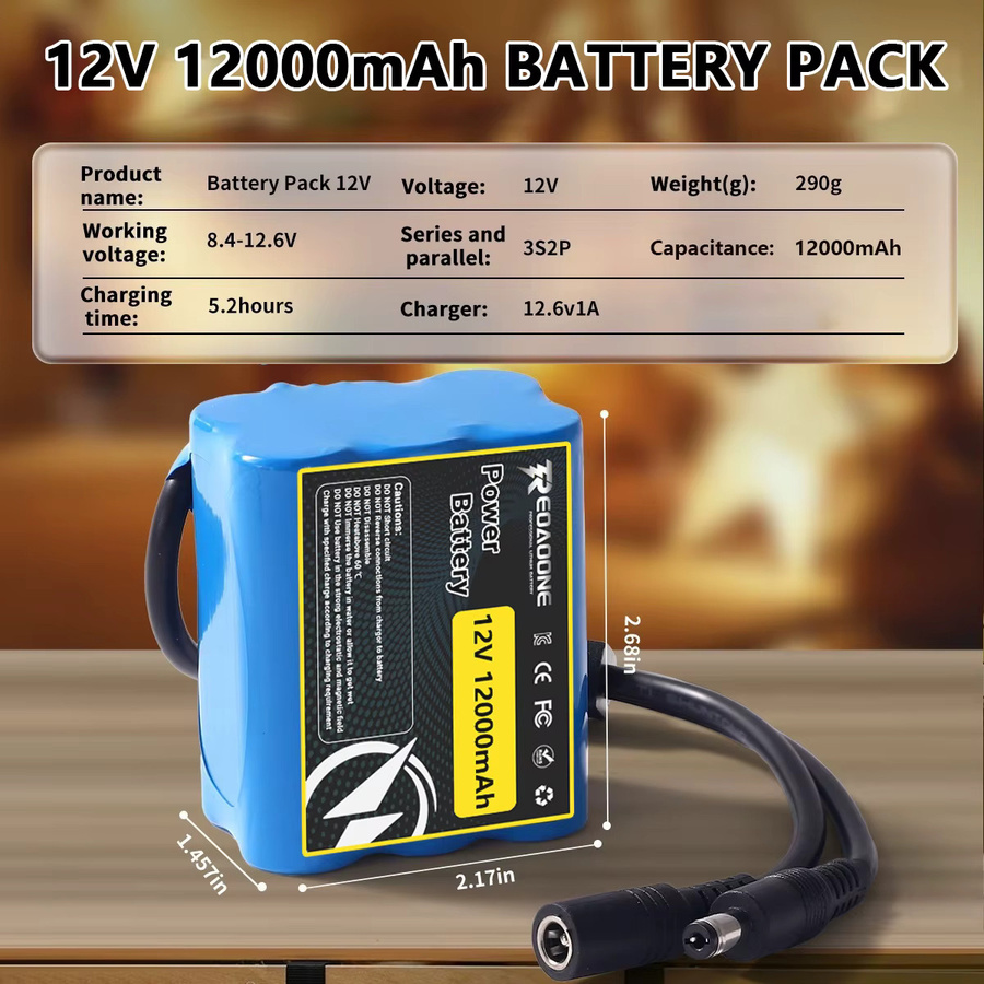 Reoaoone Wiederaufladbarer 12V 12000mAh Lithium-Ionen-Akku 3S2P mit BMS-Schutz in Blau - Bild 2