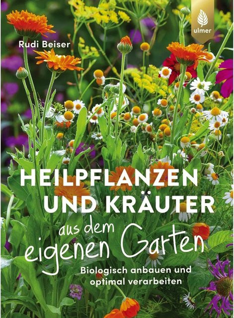 Heilpflanzen und Kräuter aus dem eigenen Garten - Bild 1