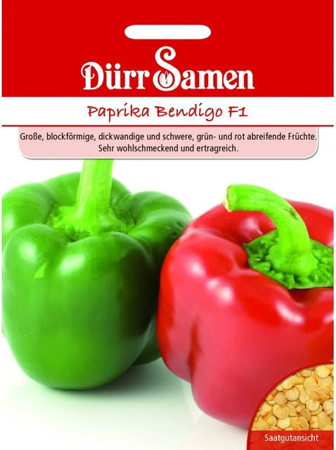 Dürr Samen Paprika Bendigo F1 Saatgut - Bild 1
