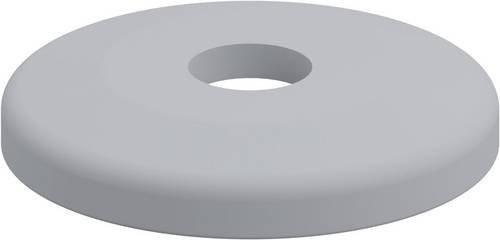 Blickle Abweisrad AG 100/R25 aus Kunststoff in Grau mit einem Durchmesser von 100 mm - Bild 1