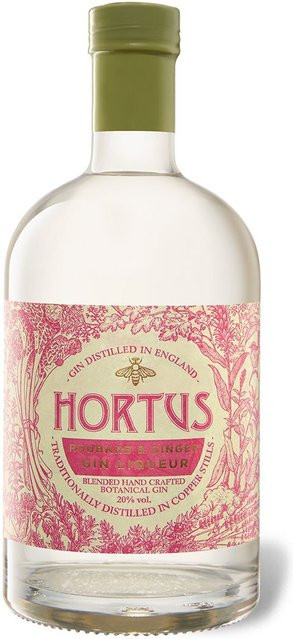 Hortus Gin Likör Rhabarber & Ingwer 0,5 l - Bild 1