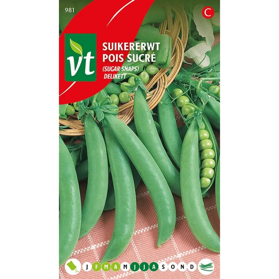 Arborix Erbsen Delikett Samen für frühen Gartenanbau, 40 g - Bild 2