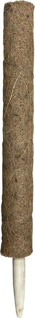 Peacock Kokosstab Pflanzstab Natur Braun Durchmesser: 4 cm, Höhe: 60 cm - Bild 1