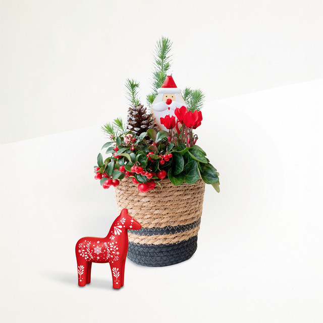 BLUME2000 Weihnachtsdekoration Dear Santa mit Dekopferd in Rot und Grün aus Metall - Bild 1