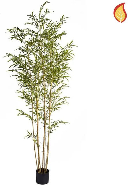 Künstlicher Bambus Helene von Aplanta, Höhe: 210 cm, Grün - Bild 1