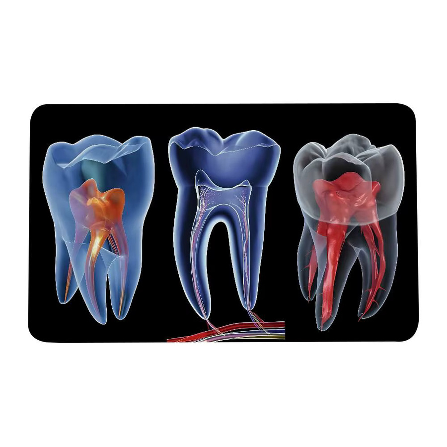 52TOYS Flanell-Fußmatte mit Dentist Tooth Room Muster in Multicolour, rechteckige Bodenmatte für Badezimmer und Wohnzimmer, B/T: 60 x 40 cm - Bild 7