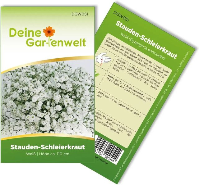 Deine Gartenwelt Schleierkraut Samen Weiß für Blumenbeete und Rabatten - Bild 1