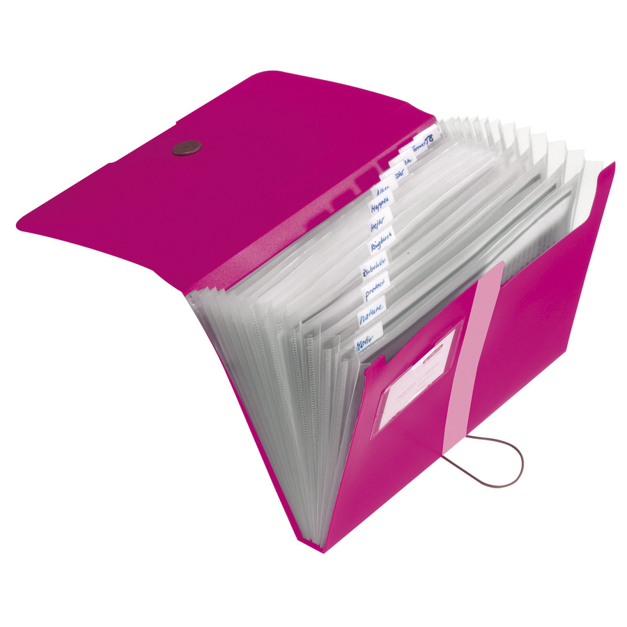 Herlitz Fächermappe easy orga to go A4 aus Kunststoff in Pink Transparent - Bild 2