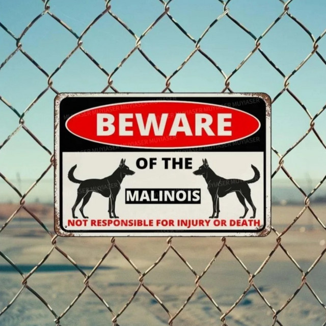 YardGuard Malinois Hundewarnschild aus Metall für den Außenbereich, Rechteckig, Breite: 20,0 cm, Höhe: 20,0 cm - Bild 1