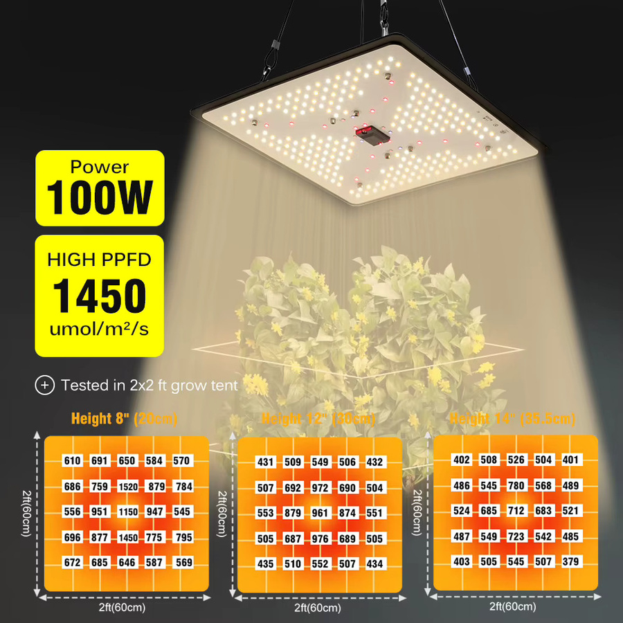 GRAXGROW LED Pflanzenlampe High Energy Vollspektrum-Wachstum, 100 W, Schwarz, dimmbar, wasserdicht, RGBWW Quantenbrett für Hydrokultur und Gewächshaus - Bild 4