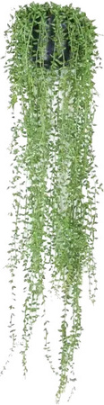 Künstliche Erbsenpflanze Karina von Aplanta, grün, Höhe: 70 cm