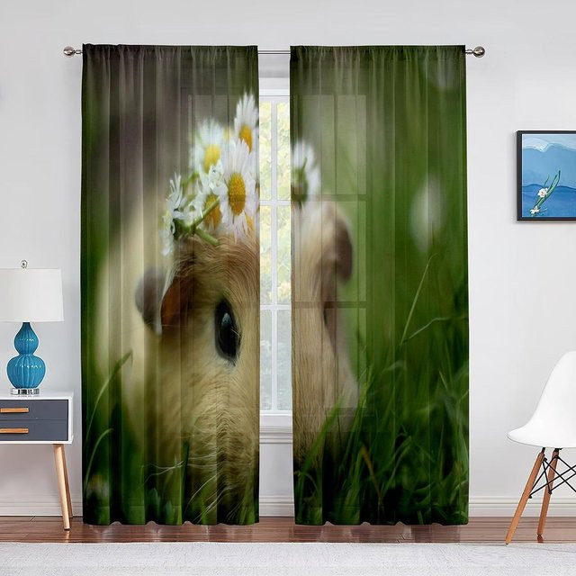 Transparentes Meerschweinchen Voile Vorhang aus Chiffon mit Ösen, Farbe: Grün, Breite: 100 cm, Höhe: 250 cm - Bild 1
