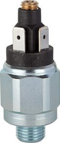 Riegler Druckschalter Standard aus verzinktem Stahl mit G 1/4 Anschluss, 1 - 10 bar, Öffner - Bild 1
