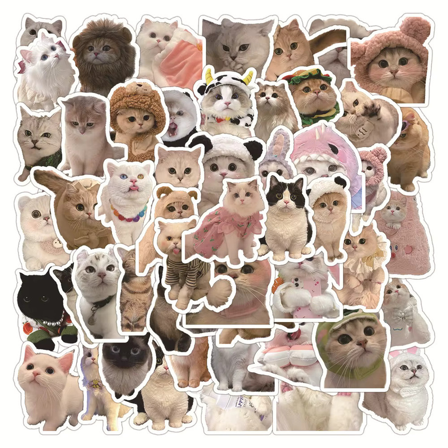 50 Stück bunte Katzen-Meme-Aufkleber von Papery Pop Store für Laptop, Handyhülle und Gepäck - Bild 2