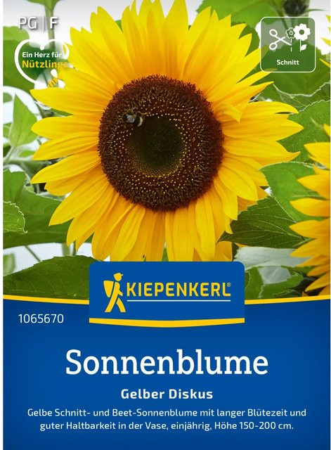 Kiepenkerl Sonnenblume Gelber Diskus Helianthus Schnittblume - Bild 1