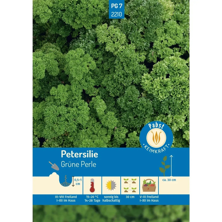 Pabst Petersilie Gekraust Saatgut Grüne Perle Treibfähig - Bild 2