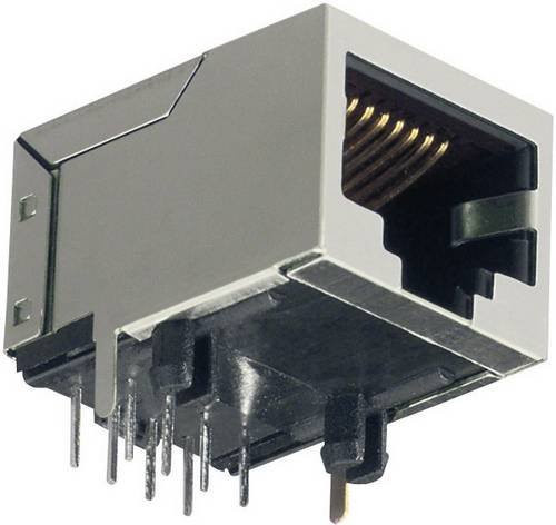 BKL Electronic Modulare Einbaubuchse 143206, horizontal und gewinkelt, 8P8C, Grau - Bild 1