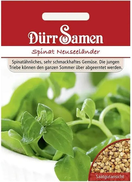 Dürr Neuseeländer Spinat Saatgut für den Sommer, 40 g - Bild 1