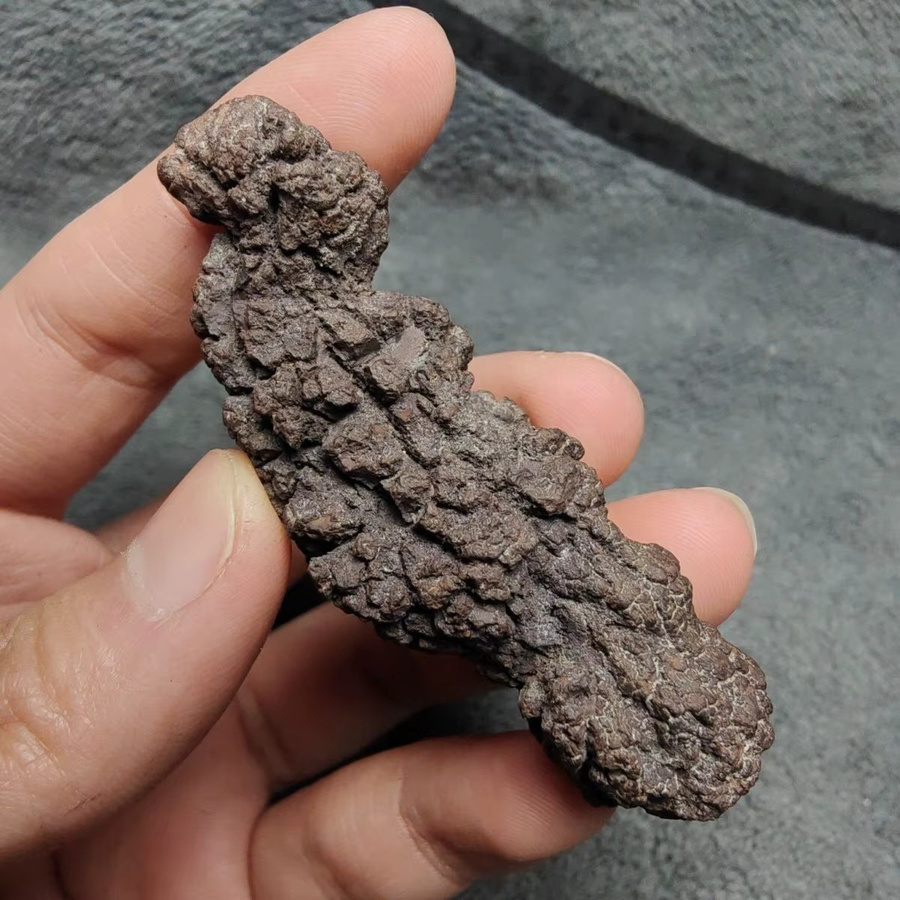Wei Hong Koprolith Fossilisiertes Dinosaurier-Exkrement aus Madagaskar, braun, 1000 g - Bild 3