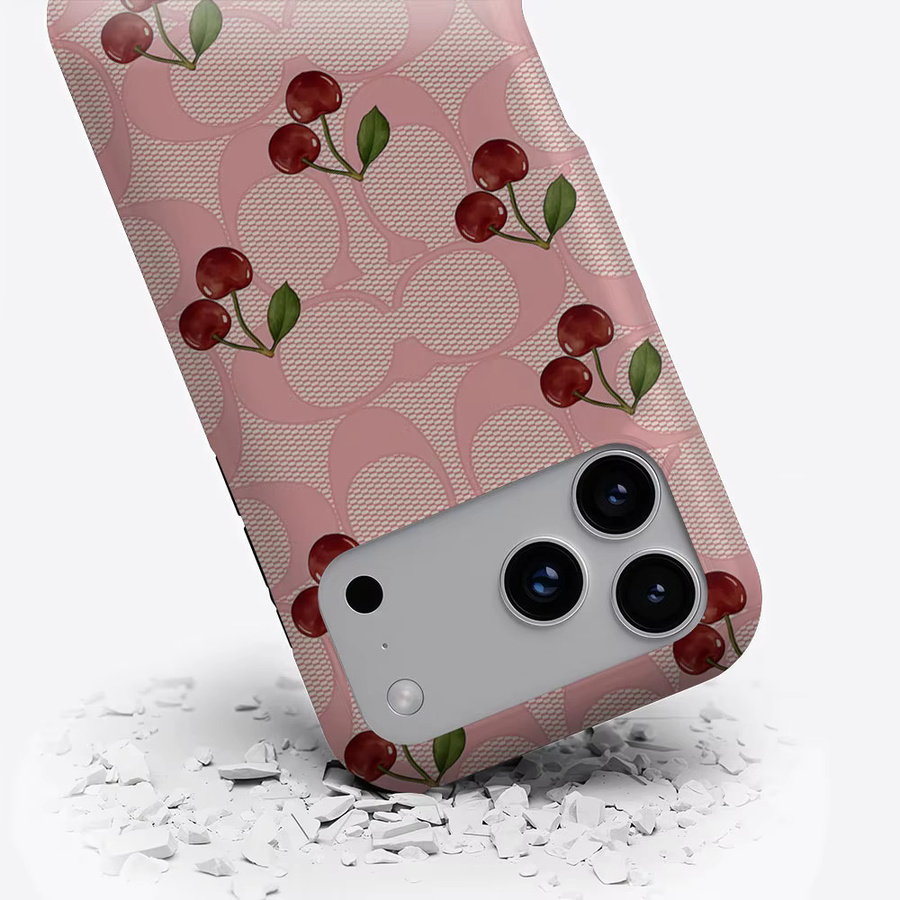Aurbe 2-in-1 MagSafe Hülle mit mattem Film für iPhone 17 16 15 14 Plus Pro Max, stoßfeste Hartschale im Mesh Cherry Design, Farbe: Pink - Bild 3