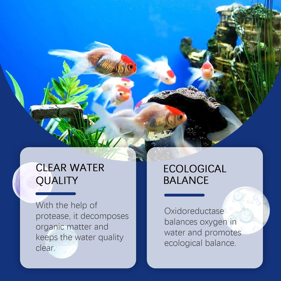 eelhoe Aquarium-Wasserkleinerner und Algenentferner in Blau zur Wasseraufbereitung für Süßwasser- und Salzwassertanks sowie Teiche - Bild 3