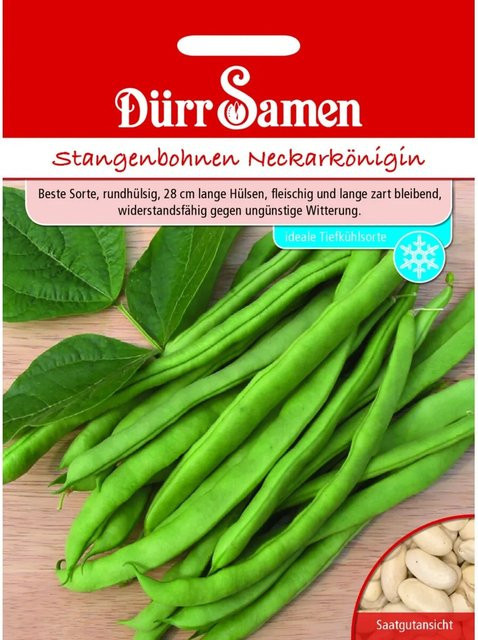 Dürr Samen Stangenbohnen Neckarkönigin Saatgut 155 g - Bild 1