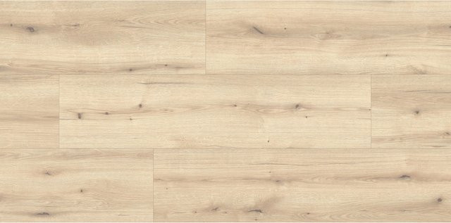 Kaindl Excellent Laminat 8 mm Wasserfest Eiche Evoke Vanilla in Beige - Bild 1