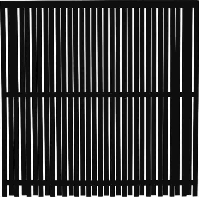 Plus Sichtschutzzaun Nagano aus Nadelholz in Schwarz, B/H: 180 x 180 cm - Bild 1