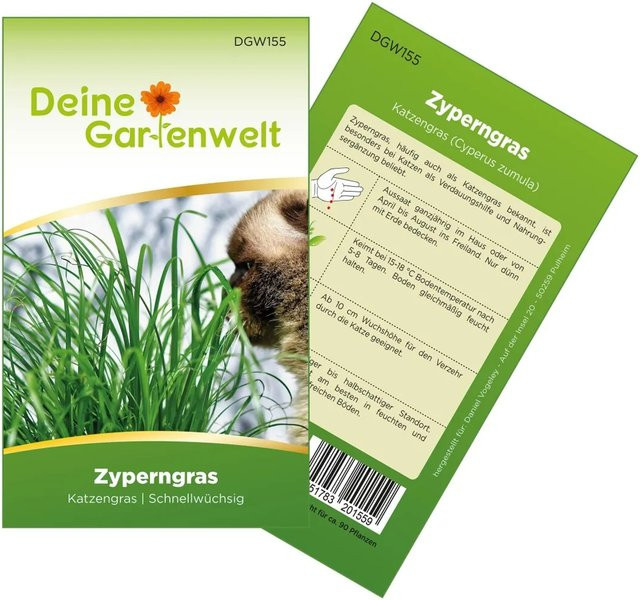 Deine Gartenwelt Zyperngras Samen für Katzen ganzjährig - Bild 1
