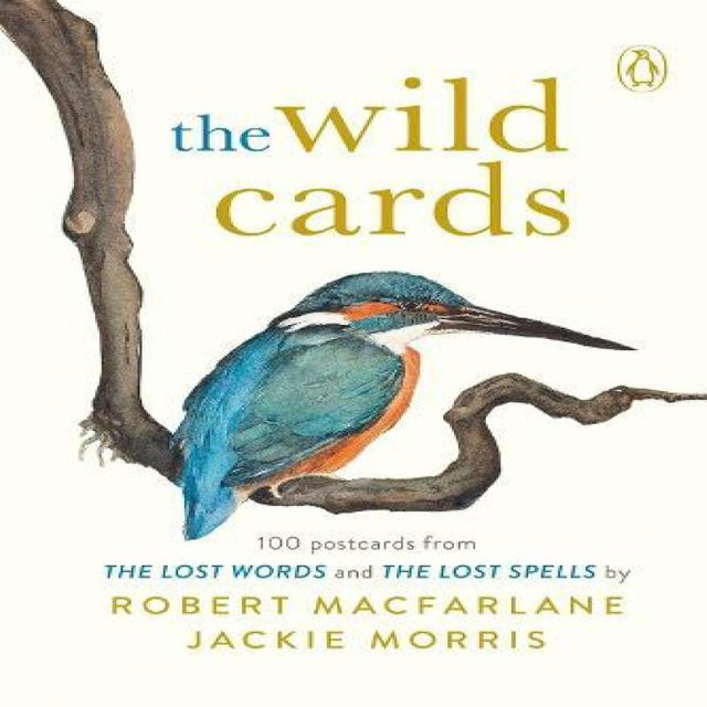 Die Wild Cards von Jackie Morris, Robert Macfarlane, Taschenbuch - Bild 1