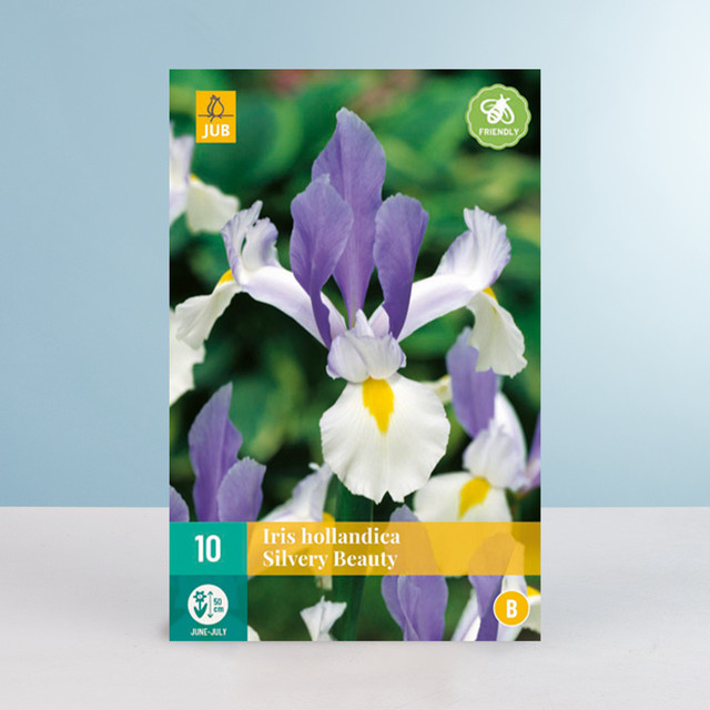 Holländische Schwertlilie Silver Beauty von BLUME2000 mit 10 Zwiebeln - Bild 1